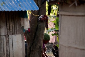 Nei villaggi Tharu in cui le capanne ancora resistono, i tetti in paglia sono stati sostituiti dalle lamiere e si cucina fuori accendendo il fuoco, villaggio di Bacchauli, Chitwan National Park, Nepal 2018.