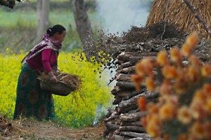 Una donna Tharu alimenta il fuoco all'esterno della sua capanna per affumicare il pesce di fiume pescato all'alba: la tecnica utilizzata dalle donne Tharu per pescare piccoli crostacei, gamberetti di fiume e pesci d'acqua dolce consiste nell'utilizzo di reti esagonali con sollevamento manuale (hanno un telaio rigido fissato ad un lungo palo e vengono calate sul fondo o semplicemente sotto il pelo dell'acqua). Villaggio di Bacchauli, Nepal 2018.