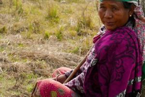 Una donna Tharu è seduta appoggiata al palo di una recinzione mentre i suoi animali brucano nella prateria. Chitwan National Park, Nepal 2018.