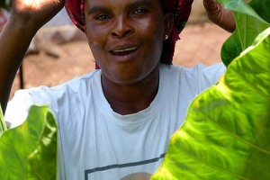 Un saluto festoso da questa donna Venda ( di nome Lerato che significa "amore") tra le sue bellissime piante nel cortile della sua abitazione, Provincia del Limpopo, Sud Africa 2012.