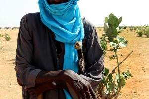 Festival del Gerewoll, dintorni di Abalak, etnia Woodabe, Niger 2018