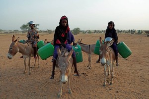 Gerewoll, dintorni di Abalak, Niger 2019