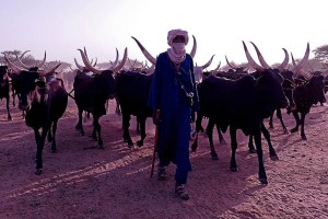 Accampamento nei dintorni di Abalak, Niger 2019