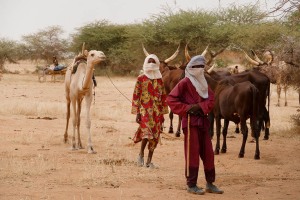 Dintorni del villaggio Escale Yaya, Niger 2019