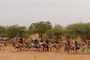 Dintorni del villaggio Escale Yaya, Niger 2019