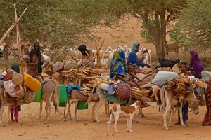 Dintorni del villaggio Escale Yaya, Niger 2019