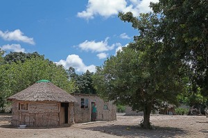 Villaggio Xhosa ai margini della Foresta, Sud Africa 2012