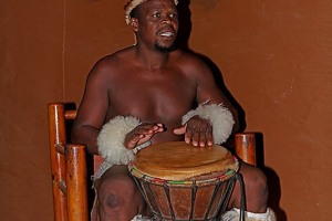 Guerriero Zulu suona il tamburo accompagnando i suoi compagni al ritmo della "Isigubudu", genere musicale tradizionale di questo popolo, Villaggio Shakaland, Provincia del KwaZulu-Natal, Sud africa 2012
