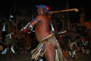 Primo piano di un guerriero Zulu che brandisce la sua mazza da combattimento ("Knobkierie", realizzata con i rami di un albero dal legno durissimo, l'Ironwood) durante la danza tradizionale "Indlamu" in onore del grande e compianto Re Shaka, Villaggio Shakaland, Provincia del KwaZulu-Natal, Sud africa 2012