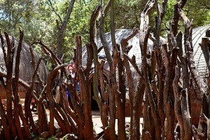 Particolare di una staccionata realizzata con rami conficcati nel terreno a protezione del villaggio per impedire l'ingresso agli animali feroci e rallentare eventuali attacchi dei nemici; Aha Lesedi Village; Sud africa 2012