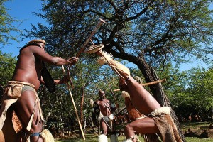 I combattimenti simulati tra i guerrieri Zulu fanno parte delle cerimonie in onore degli antenati e dei loro spiriti guerrieri. Indossano il grembiule anteriore (isinene) e il grembiule posteriore (ibheshu) che hanno lo scopo di coprire i genitali e le glutei. I peli della coda di una mucca (amashoba) sono indossati sulla parte superiore delle braccia e sotto le ginoccha per ingigantire la massa muscolare al fine di incutere soggezione ai nemici. La mazza da combattimento, denominata "Knobkierie" è ricavata dai rami di un albero particolarmente duro (l'Ironwood) e può procurare anche traumi mortali nel combattimento corpo a corpo. Gli scudi sono in pelle di vacca rinforzati sul retro con lo stesso legno della mazza. Villaggio Shakaland, Provincia del KawZulu-Natal, Sud Africa 2012