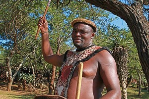 "Ababhumbuluzo", scudo da guerra corto, Villaggio Shakaland, Provincia del KwaZulu-Natal, Sud africa 2012