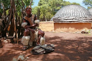 Guerriero Zulu ha deposto il suo scudo a terra ed ha poggiato; la lancia ad un palo della staccionata (indossa l'abito tradizionale composto da pelli di animali e piume; il grembiule anteriore "isinene" ed il grembiule posteriore "ibheshu" hanno lo scopo di coprire i genitali ed i glutei; i peli della coda di una mucca utilizzati come contorno alle braccia e sotto le ginocchia dal nome "amashoba" servono invece a creare un aspetto di massa muscolare maggiore; infine al di sopra della fronte porta una fascia tribale realizzata in pelle Springbok e Kudu); Aha Lesedi Village; Sud africa 2012