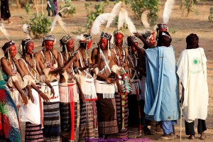 Gerewoll Niger Bororo 2018