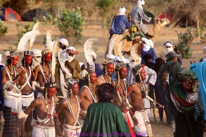 Gerewoll Niger Bororo 2018