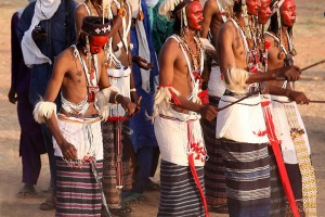 Gerewoll Niger Bororo 2018