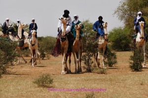 Gerewoll Niger Bororo 2018