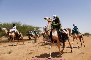 Gerewoll Niger Bororo 2018