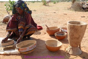 Gerewoll Niger Bororo 2018