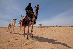 Nomade Kel Air (etnia Tuareg), Deserto del Sahara, Regione dell'Air, Niger 2020