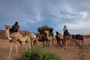 Nomadi Kel Air (etnia Tuareg), Deserto del Sahara, Regione dell'Air, Niger 2020