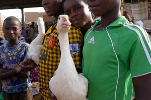 Agadez, Niger 2019