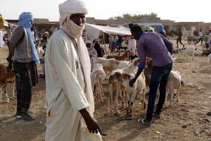 Agadez, Niger 2019