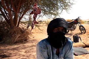 Tuareg dell'etnia Kel Air ha appena macellato una capra, appendendone il corpo ai rami di un'acacia per far frollare la carne, Regione dell'Air, Deserto del Ténéré, Niger 2020