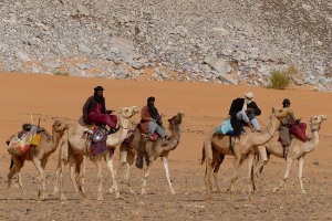 Piccola carovana di dromedari condotta da nomadi Tuareg Kel Tedele procede lungo questa immensa isola di rocce annerite dal tempo e sabbia che il vento modella da centinaia di anni: essa prende il nome di Regione montuosa dell'Air, Niger 2020