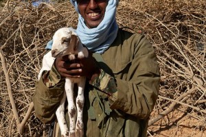 Militare della scorta armata, che mi segue come un'ombra, prende in braccio una capretta di pochi mesi: Un bel messaggio di pace e serenità per questo Paese, il Niger, dilaniato dalla povertà diffusa, dalla desertificazione dilagante, dall'isolamento geografico, dalla carenza di politiche assistenziali e di sviluppo, dalla corruzione apparentemente incontrastabile. Villaggio di Timia, Regione dell'Air, Niger 2020