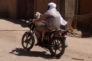 Un Tuareg Kel Agadez trasporta sulla sua motocicletta, come passeggera inusuale, una pecora acquistata al vicino Mercato degli animali, Agadez, Niger 2020