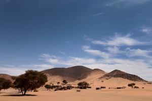 Nelle vicinanze di un gruppo sparuto di alberi di acacia alcune famiglie Tuareg dell'etnia Kel Air hanno montato le loro tende, Massiccio montuoso del Chiriet, Regione dell'Air, Deserto del Ténéré, Niger 2020