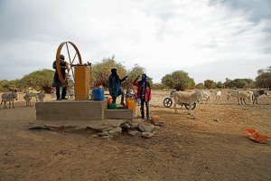 Un pozzo dove si abbeverano gli animali e dove i Tuareg Kel Air riempiono i fusti di acqua che caricheranno sugli asini, Regione di Arakau, deserto del Sahara, Niger 2020