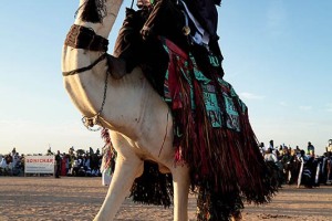 Cavaliere Tuareg Kel Air monta il suo dromedario con il dorso ricoperto da drappi ed ornamenti in pelle e tessuto lavorati a mano, Festival dell'Air, Iferouane, Deserto del Ténéré, Regione dell'Air, Niger 2020