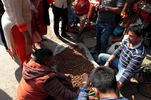 Nel mercato attiguo al Tempio Hindu di Pashupatinath si stendono al sole su un telo i semi di "Rudraksha": con essi (raccolti da una pianta tipica del Nepal ed in genere del Sud Est asiatico che prende il nome di Elaeocarpus ganitrus) si creano rosari, bracciali e gioielli, dato che si crede che abbiano proprietà curative e spirituali. Secondo una leggenda Hindu i rudraksha sono stati creati dalle lacrime del Dio Shiva. Nepal 2018.