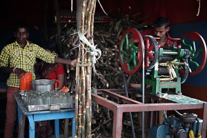Nel mercato di Saundatti, in una piccola bottega artigianale, si estrae il succo dalla canna da zucchero (Saccharum officinarum), ottenuto triturando e spremendo la canna da zucchero in un macchinario denominato laminatoio, dove la canna viene introdotta tra due rulli che provvedono a schiacciarla, triturarla ed estrarre pertanto il succo. Regione del Karnataka, India 2015.
