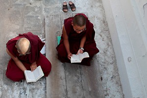 Monaci novizi, nelle loro tuniche color amaranto, studiano i libri delle preghiere nei giardini che circondano lo Stupa più grande dell'Asia, il Bodhnath, Kathmandu, Nepal 2018