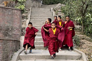 Un gruppo di bambini nepalesi, novizi di un vicino Monastero Tibetano, corrono giocando e schernendo come farebbero tutti i bambini del mondo, i macachi che incontrano lungo le scalinate che portano al Tempio Buddhista di Swayambhunath (denominato anche il "Tempio delle scimmie"), Kathmandu, Nepal 2018