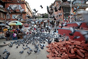 Un'esplosione di piccioni nella piazza principale di Bhaktapur, i mattoni servono a restaurare una parte dei monumenti sventrati dal sisma del 2015, Nepal 2018