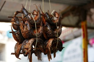 In un banco nel mercato di Bungamati, sono appesi in bella vista questi pesci affumicati che hanno attratto la mia attenzione per la particolare armonia delle loro forme. Nepal 2018.