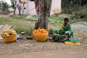 Una giovane donna Hindu vende frutta ed ortaggi sul ciglio della strada nel villaggio rurale di Belur.Regione del Karnataka, India 2015.