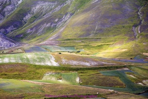 Castelluccio di Norcia 2018.