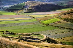 Castelluccio di Norcia 2018.