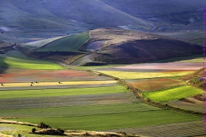 Castelluccio di Norcia 2018.