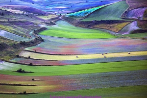 Castelluccio di Norcia 2018.