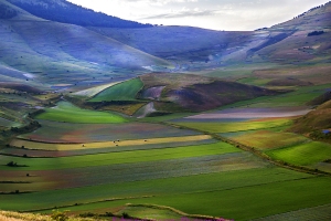 Castelluccio di Norcia 2018.