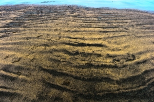 Sands-Dunes-web